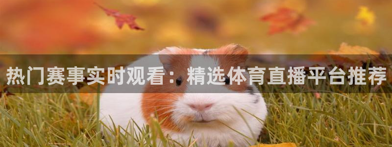 857体育赛事直播官网：热门赛事实时观看：精选体育直播平台推荐