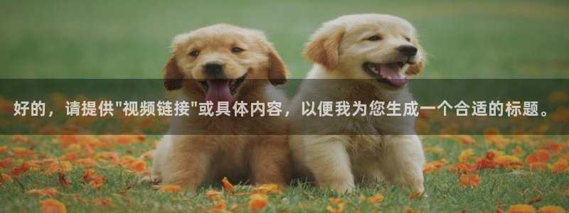 857体育nba免费直播在线直播：好的，请提供\