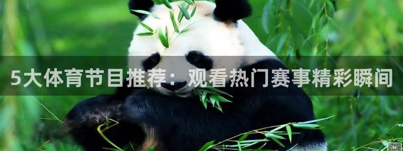 857tv体育免费直播：5大体育节目推荐：观看热门赛事精彩瞬间