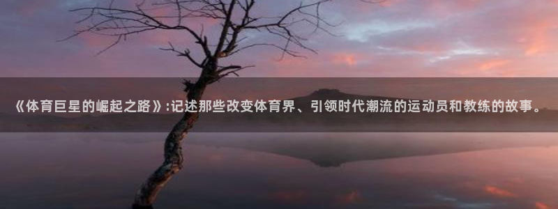 857nba体育赛事直播：《体育巨星的崛起之路》:记述那些改变体育界、引领时代潮流的运动员和教练的故事。