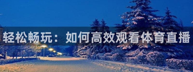 857直播体育赛事直播：轻松畅玩：如何高效观看体育直播