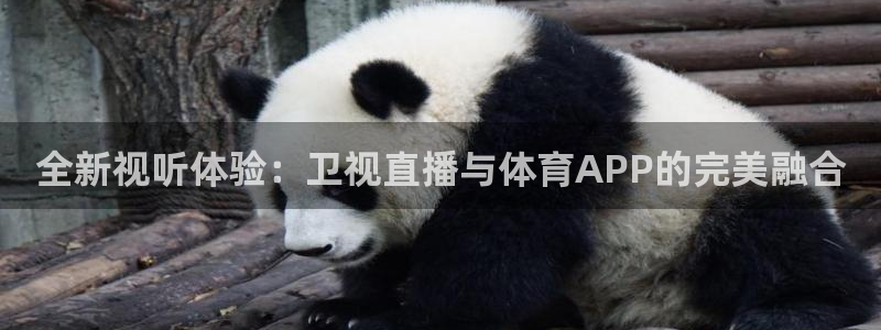 857赛事直播nba：全新视听体验：卫视直播与体育APP的完美融合
