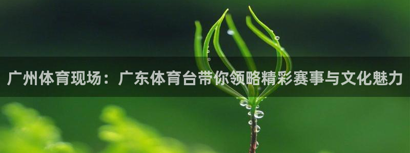 857直播体育专业直播：广州体育现场：广东体育台带你领略精彩赛事与文化魅力