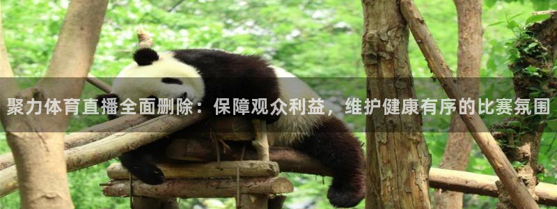 857直播看球直播间：聚力体育直播全面删除：保障观众利益，维护健康有序的比赛氛围