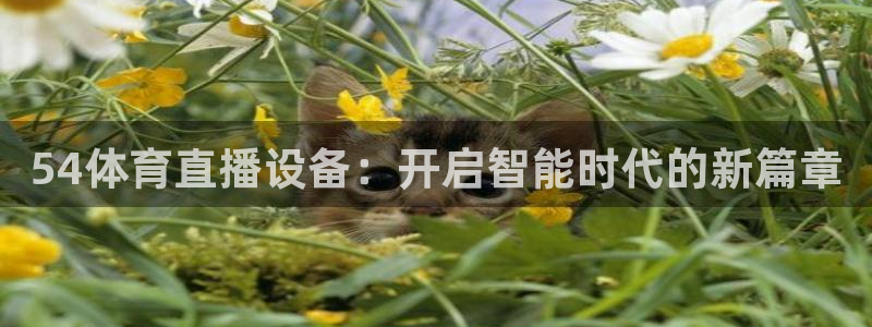857专业体育赛事直播平台：54体育直播设备：开启智能时代的新篇章
