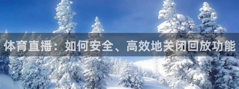 857足球比赛免费直播：体育直播：如何安全、高效地关闭回放功能