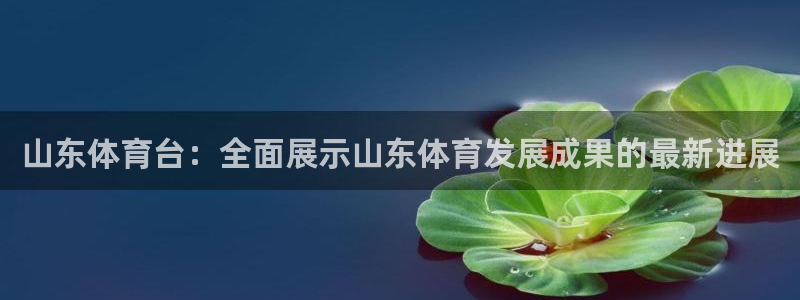 857足球直播比赛：山东体育台：全面展示山东体育发展成果的最新进展