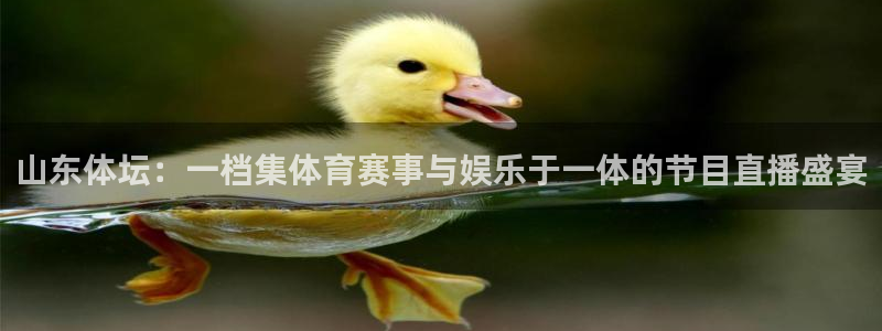 857体育直播：山东体坛：一档集体育赛事与娱乐于一体的节目直播盛宴