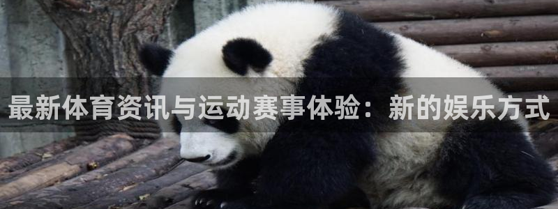 857体育赛事直播官网：最新体育资讯与运动赛事体验：新的娱乐方式
