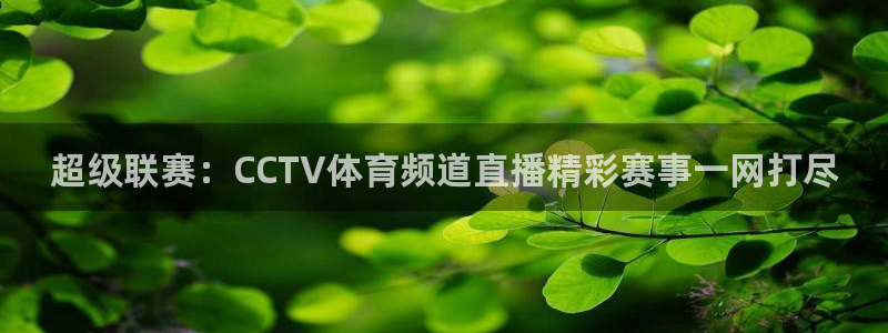 免费857直播体育nba：超级联赛：CCTV体育频道直播精彩赛事一网打尽