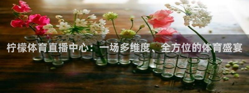 857足球比赛免费直播：柠檬体育直播中心：一场多维度、全方位的体育盛宴